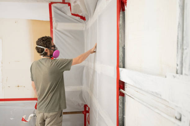 Best Post-Construction Mold Inspection  in Fairview Shores, FL