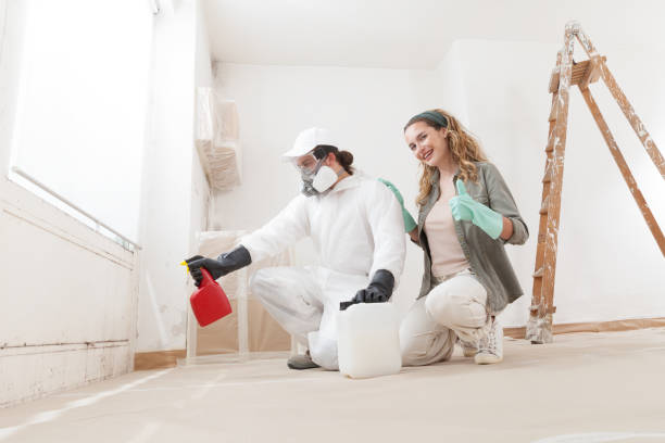 Best Environmental Consulting for Mold Prevention  in Fairview Shores, FL